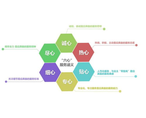 工程管理服务 提升项目效率与质量的关键保障